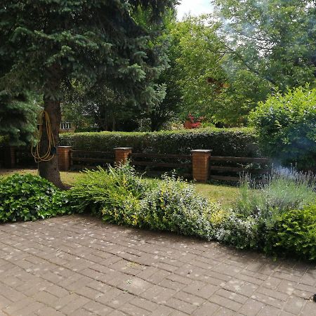 Müllrose Ferienhaus Pauline Am See מראה חיצוני תמונה